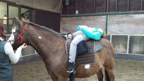 Paarden therapie